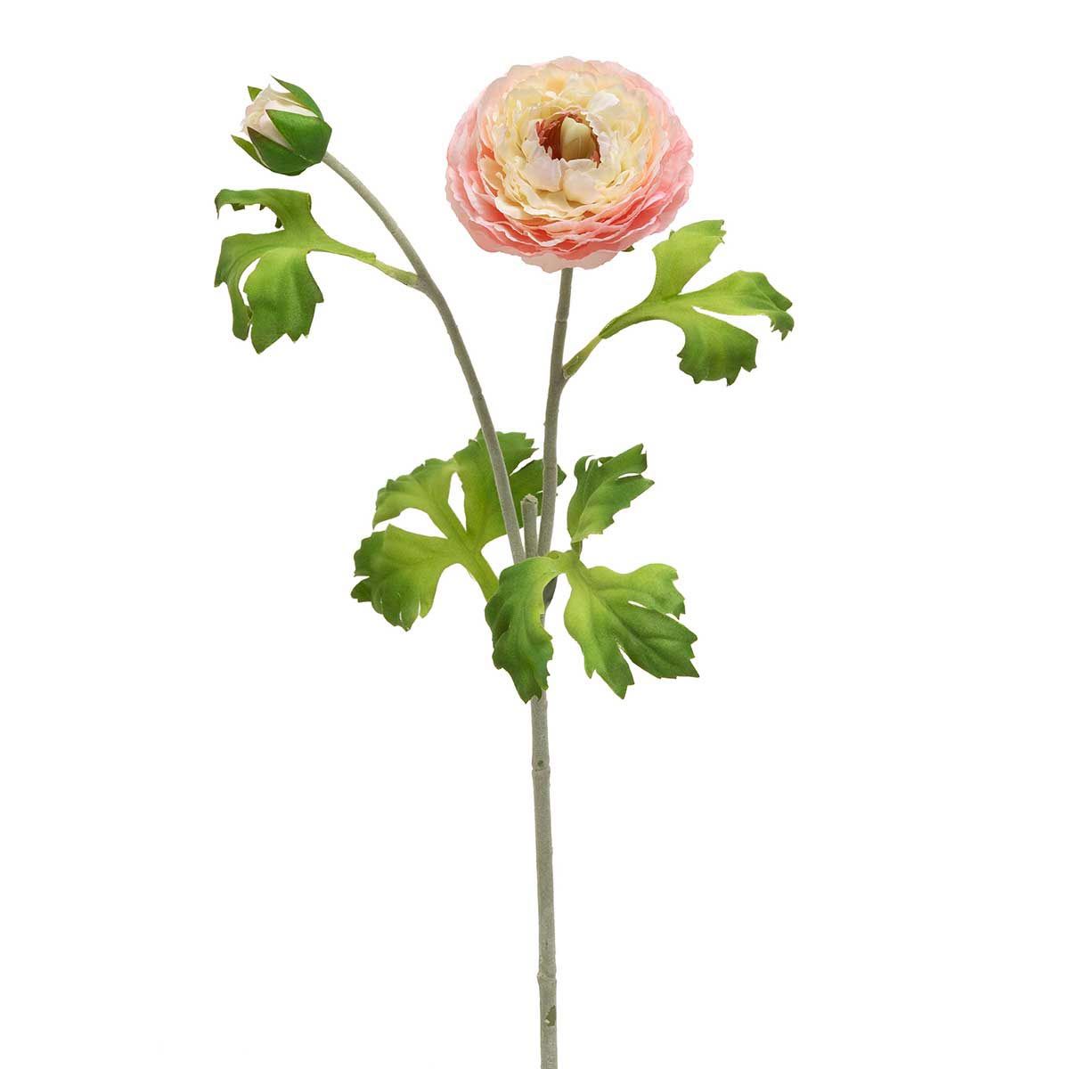 SPRAY RANUNCULUS BLUSH 3IN X 24IN POLYESTER - Click Image to Close